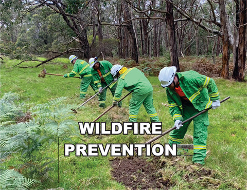 Wildfire Prevention Program